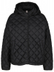 Cinque - Steppjacke PHIL
