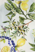 Marc Cain - Blusenshirt mit Print
